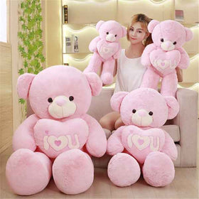 Embrace Heart Plush Teddy Bear