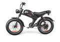 C93- Dual-drive High-speed Electric Bike